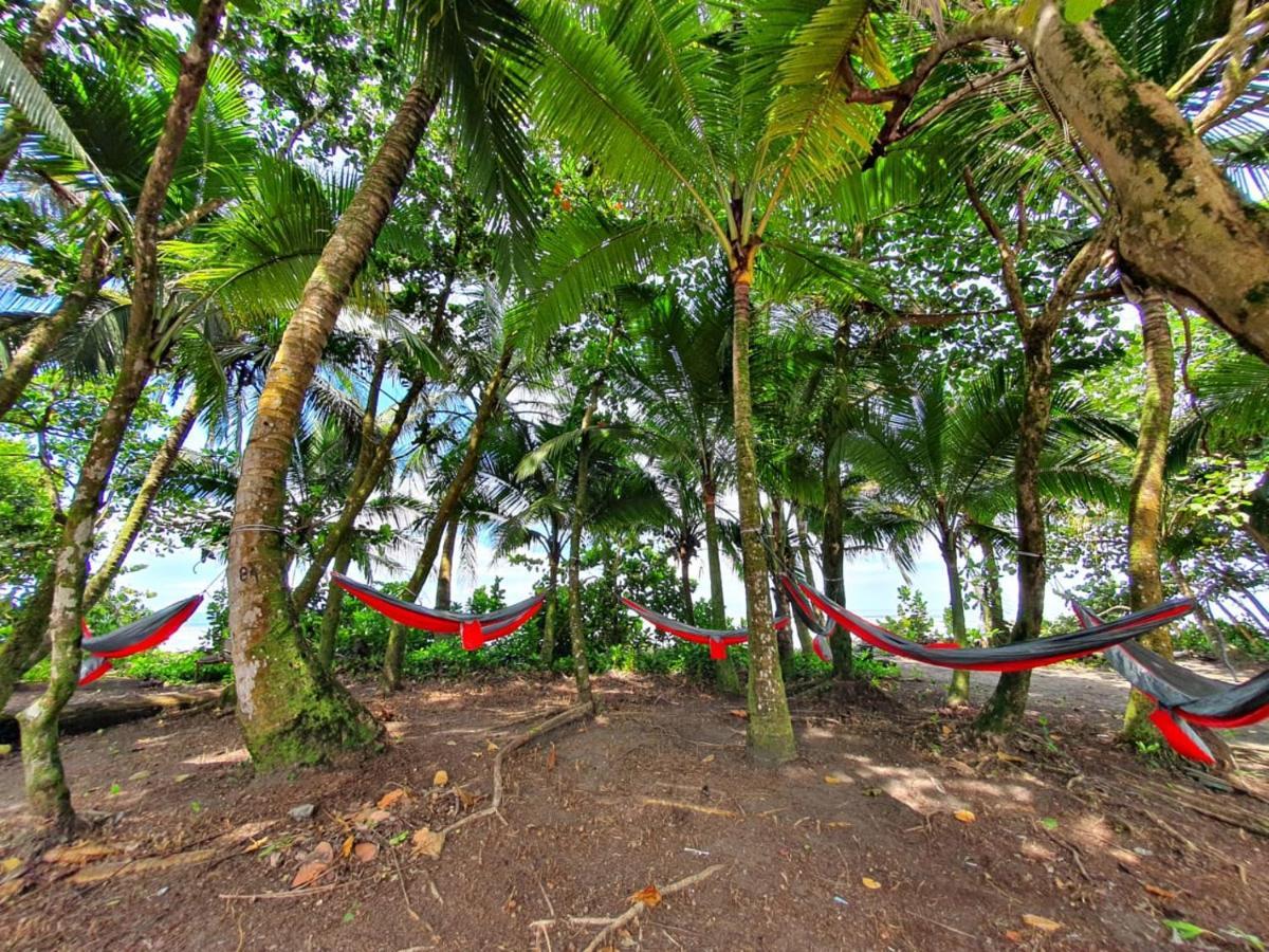 Caribbean View Apartment Tortuguero Exterior photo