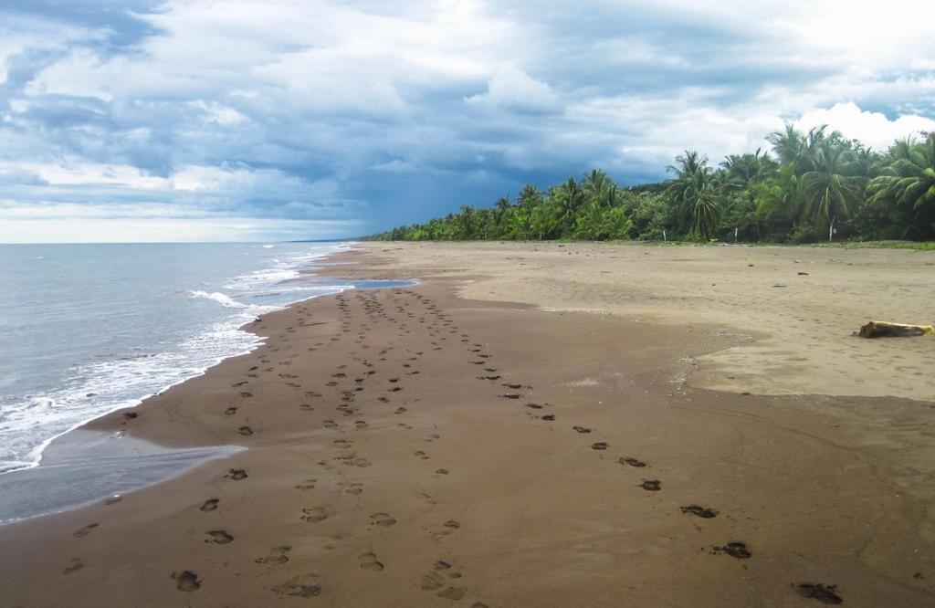 Caribbean View Apartment Tortuguero Exterior photo
